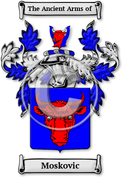 Moskovic Family Crest Download (jpg) Legacy Series - 150 DPI