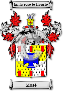 Mosé Family Crest Download (jpg) Legacy Series - 150 DPI