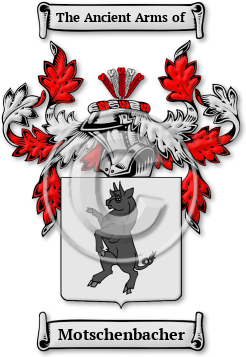 Motschenbacher Family Crest Download (jpg) Legacy Series - 150 DPI