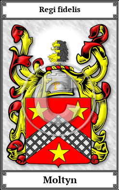 Moltyn Family Crest Download (JPG)  Book Plated - 150 DPI