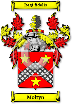 Moltyn Family Crest Download (jpg) Legacy Series - 150 DPI
