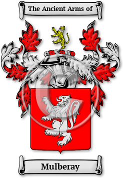 Mulberay Family Crest Download (jpg) Legacy Series - 150 DPI