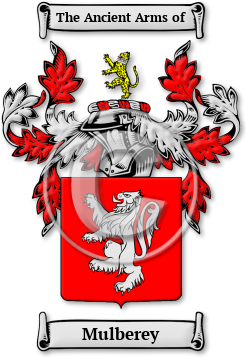 Mulberey Family Crest Download (JPG) Legacy Series - 600 DPI
