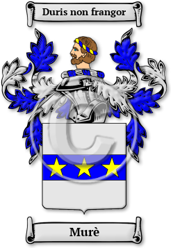 Murè Family Crest Download (jpg) Legacy Series - 150 DPI