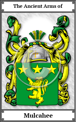 Mulcahee Family Crest Download (JPG)  Book Plated - 150 DPI