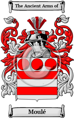 Moulé Family Crest/Coat of Arms
