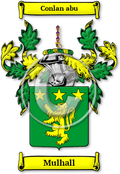 Mulhall Family Crest Download (jpg) Legacy Series - 150 DPI