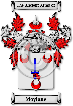 Moylane Family Crest Download (jpg) Legacy Series - 150 DPI