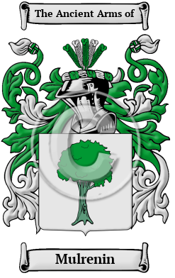Mulrenin Family Crest Download (JPG) Heritage Series - 600 DPI