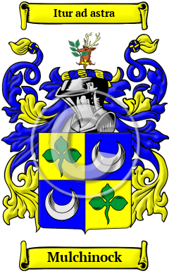 Mulchinock Family Crest Download (JPG) Heritage Series - 600 DPI
