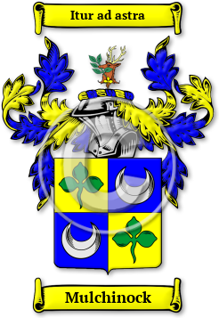 Mulchinock Family Crest Download (jpg) Legacy Series - 150 DPI