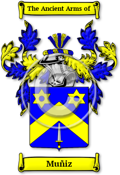 Muñiz Family Crest Download (jpg) Legacy Series - 150 DPI