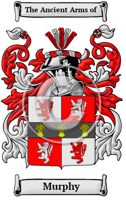 Murphy Family Crest Download (JPG) Heritage Series - 600 DPI
