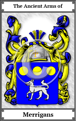 Merrigans Family Crest Download (JPG)  Book Plated - 150 DPI