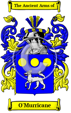 O'Murricane Family Crest/Coat of Arms