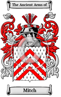 Mitch Family Crest Download (JPG) Heritage Series - 600 DPI