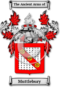 Muttlebury Family Crest Download (jpg) Legacy Series - 150 DPI