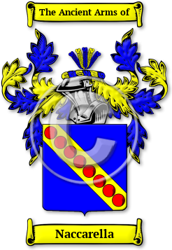 Naccarella Family Crest Download (JPG) Legacy Series - 600 DPI