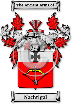 Nachtigal Family Crest Download (jpg) Legacy Series - 150 DPI