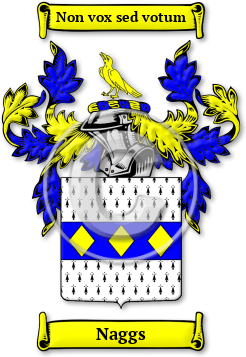 Naggs Family Crest Download (jpg) Legacy Series - 150 DPI