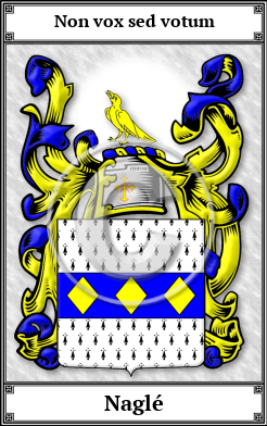 Naglé Family Crest Download (JPG)  Book Plated - 150 DPI