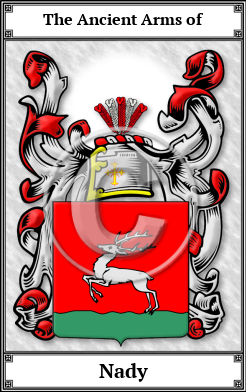 Nady Family Crest Download (JPG)  Book Plated - 150 DPI