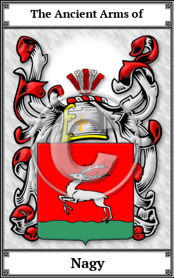 Nagy Family Crest Download (JPG)  Book Plated - 150 DPI