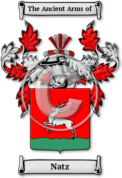 Natz Family Crest Download (jpg) Legacy Series - 150 DPI