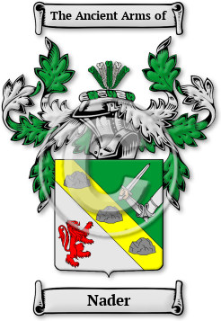 Nader Family Crest Download (JPG) Legacy Series - 600 DPI