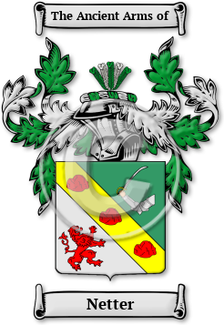 Netter Family Crest Download (JPG) Legacy Series - 300 DPI