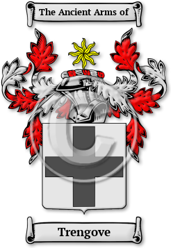 Trengove Family Crest Download (jpg) Legacy Series - 150 DPI