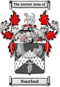 Nantford Family Crest Download (jpg) Legacy Series - 150 DPI