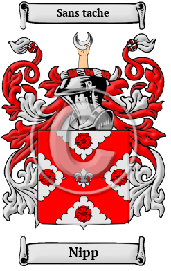 Nipp Family Crest Download (JPG) Heritage Series - 600 DPI