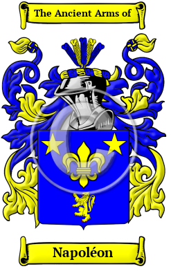 Napoléon Family Crest Download (JPG) Heritage Series - 300 DPI