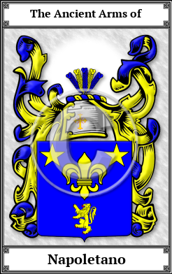 Napoletano Family Crest Download (JPG)  Book Plated - 150 DPI