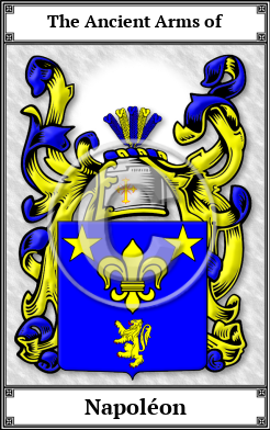 Napoléon Family Crest Download (JPG)  Book Plated - 150 DPI