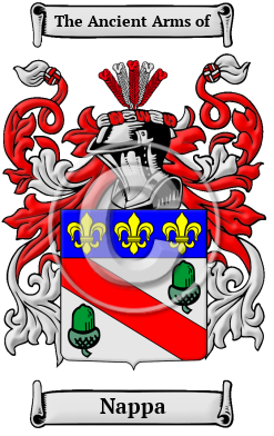 Nappa Family Crest Download (JPG) Heritage Series - 600 DPI