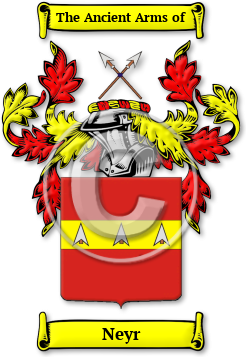Neyr Family Crest Download (jpg) Legacy Series - 150 DPI