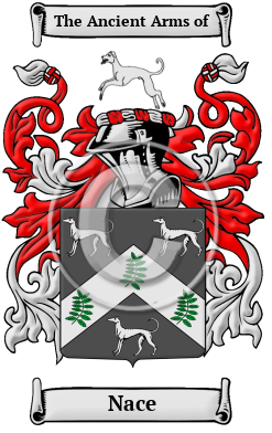 Nace Family Crest/Coat of Arms