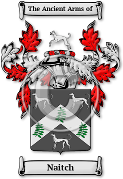 Naitch Family Crest Download (JPG) Legacy Series - 600 DPI