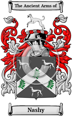 Nashy Family Crest/Coat of Arms