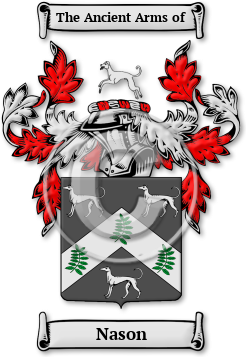 Nason Family Crest Download (JPG) Legacy Series - 300 DPI