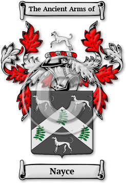 Nayce Family Crest Download (JPG) Legacy Series - 600 DPI