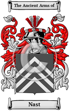 Nast Family Crest Download (JPG) Heritage Series - 600 DPI