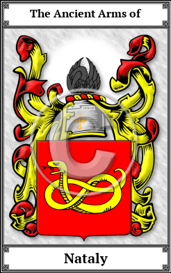 Nataly Family Crest Download (JPG) Book Plated - 600 DPI