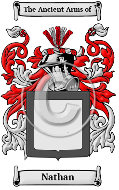 Nathan Family Crest Download (JPG) Heritage Series - 600 DPI