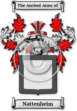 Nattenheim Family Crest Download (JPG) Legacy Series - 600 DPI