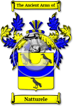 Natturele Family Crest Download (jpg) Legacy Series - 150 DPI
