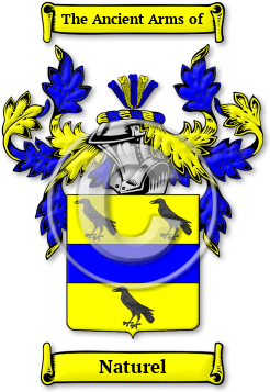 Naturel Family Crest Download (JPG) Legacy Series - 600 DPI