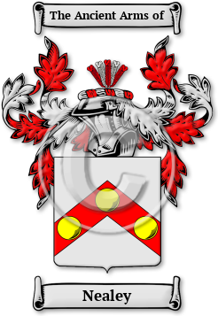 Nealey Family Crest Download (jpg) Legacy Series - 150 DPI